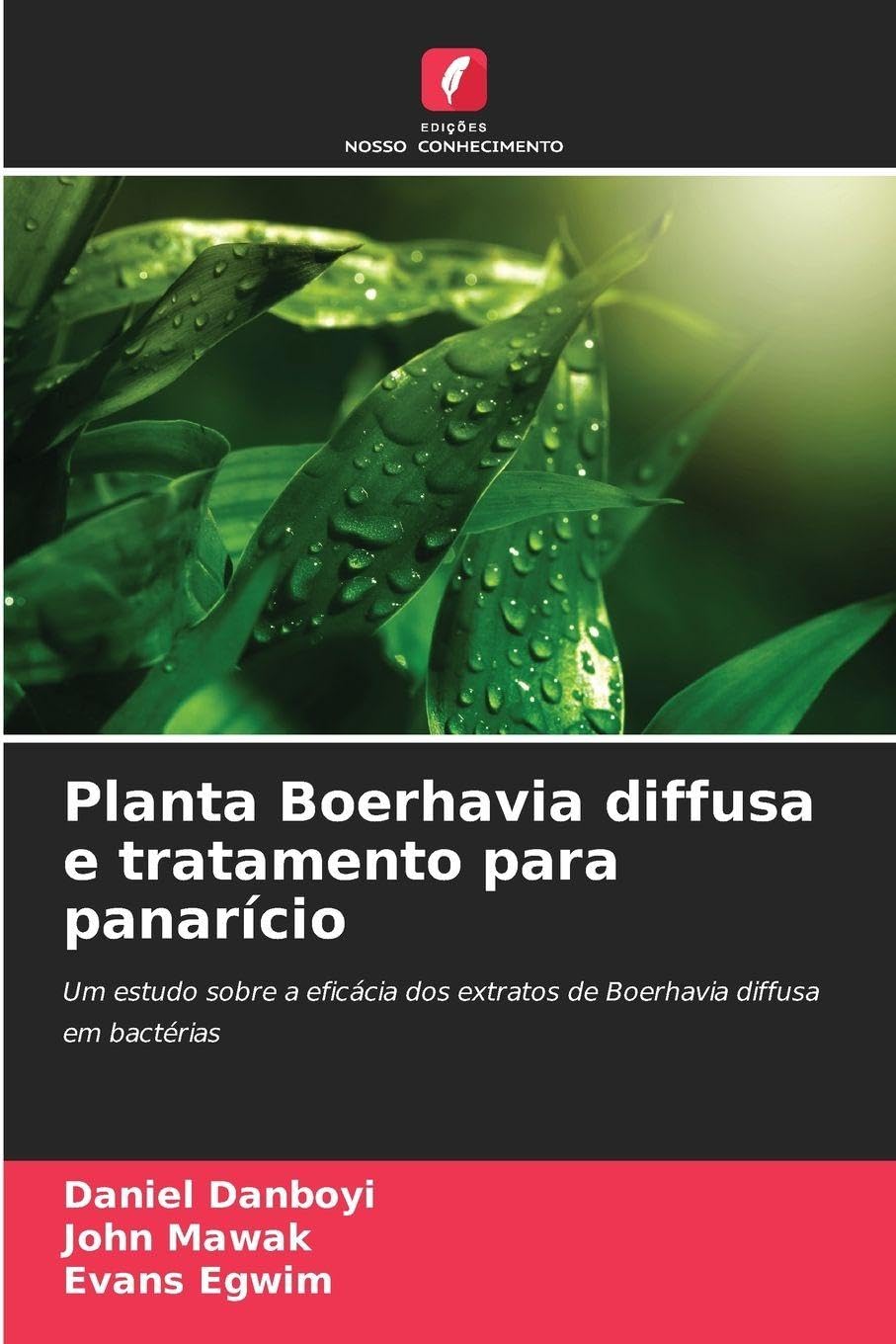 Planta Boerhavia diffusa e tratamento para panarício: Um estudo sobre a eficácia dos extratos de Boerhavia diffusa em bactérias