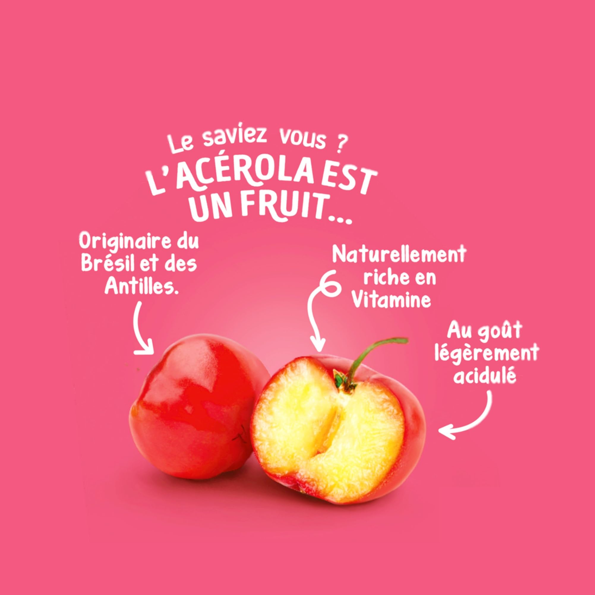 BLEDINA - Coupelles de fruits bébé - Pommes, Cassis, Acerola - Riche en Vitamine C - Dès 6 mois - 48 coupelles de 100g