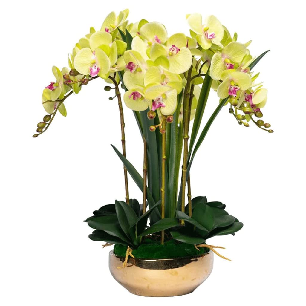XDLEDMKIZ Orchid Artificial Flowers 8 Heads Artificial Phalaenopsis Flowers Potted Orchids Artificial Plants Faux Orchids Classic Artificial Flowers natural look