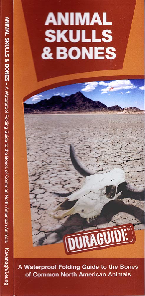 Animal Skulls & Bones: A Waterproof Pocket Guide to the Bones of Common North American Animals (Duraguide Series)