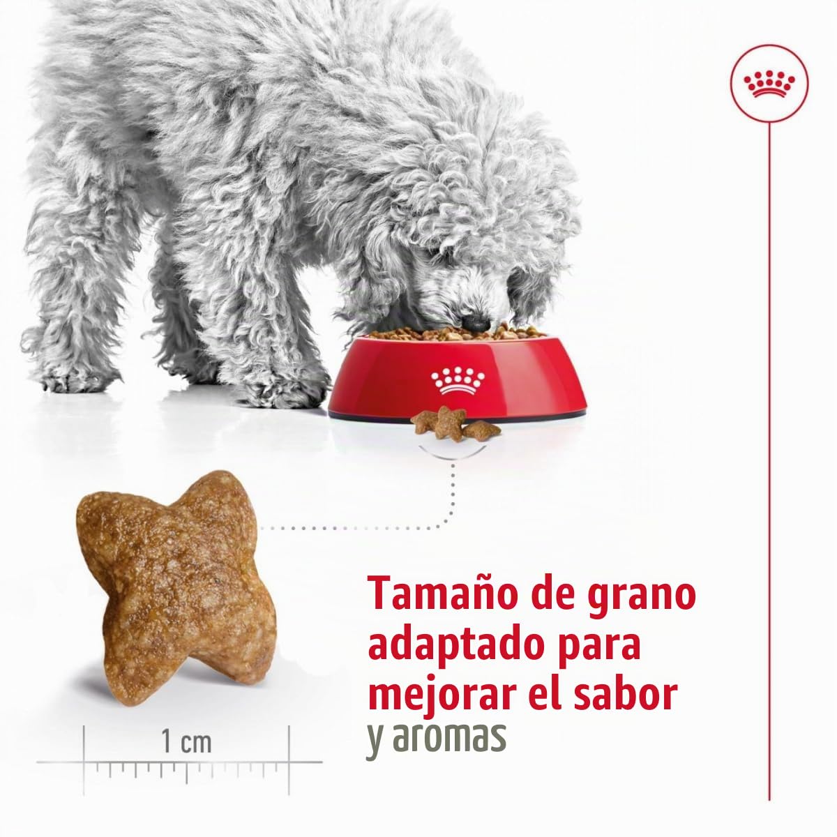 Royal Canin C-08341 S.N. Mini Adult - 8 Kg
