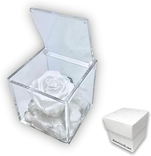 Premium-Rose - Rosa roja estabilizada en cubo transparente - Cubo con una auténtica y verdadera rosa que dura incluso más de 5 años