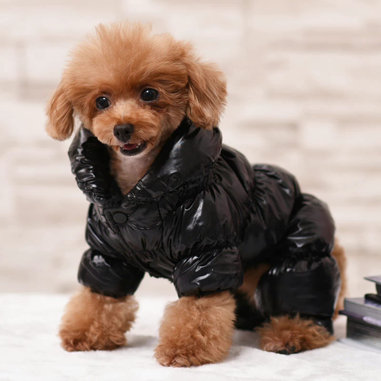 Dog Puffer Jacket - Clothing & Accessories for Dogs Water Resistant Dog Coat Thick fleece jacket-M — image 1