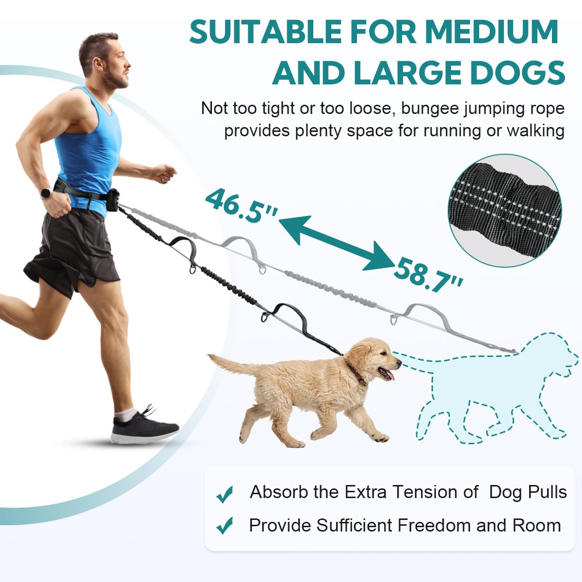 Hands Free Dog Leash with Pouch, Double Leash for Two Dogs, Retractable Bungee with Double Padded Handles, Waist for Dog Walking, Running for Dogs, Dog Walking Accessories: Grey-Green Midum Size Medium 2 Leashes