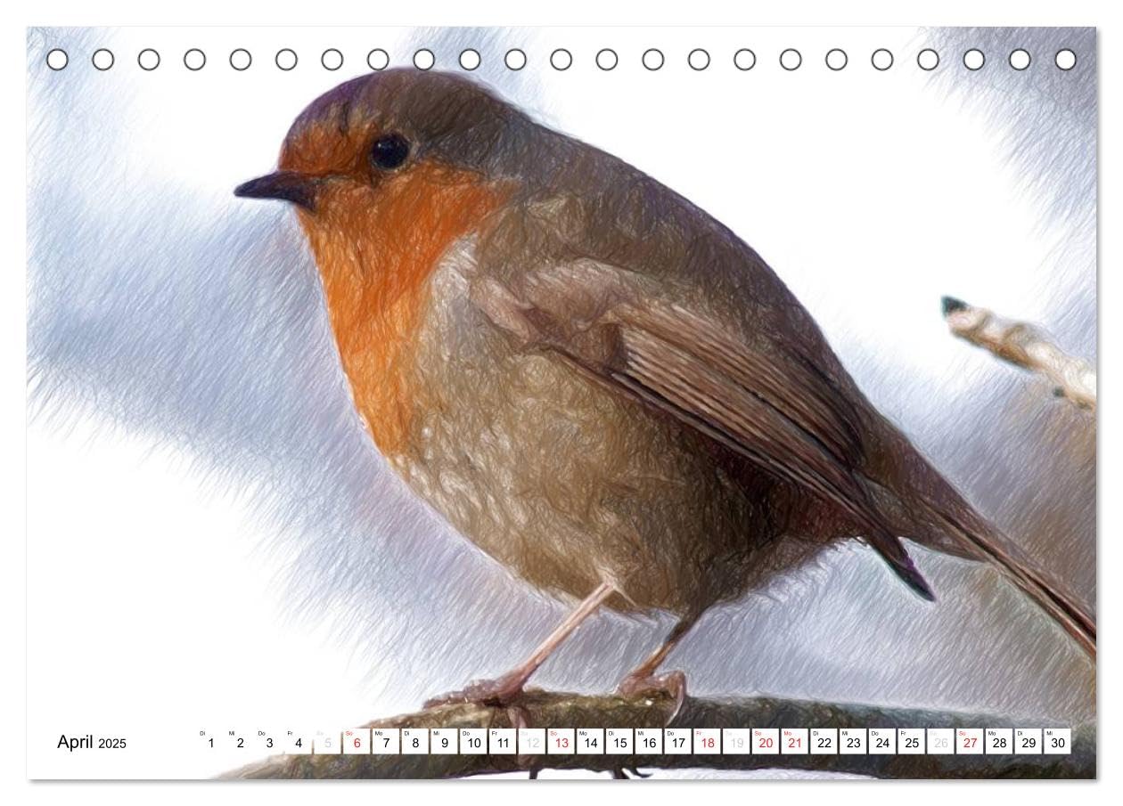 Schottlands Vogelwelt - Ein Porträt in Zeichnungen (Tischkalender 2025 DIN A5 quer), CALVENDO Monatskalender: Dieser Kalender ist ein Streifzug durch ... in farbigen Zeichnungen (CALVENDO Natur)