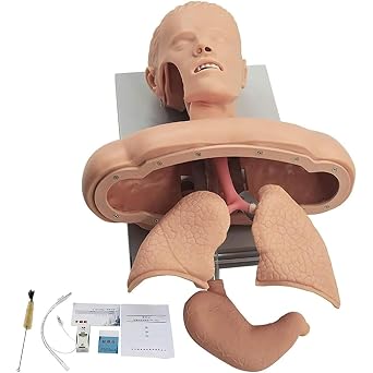 Advanced Oral Nasal Intubation Manikin, Intubation Manikin Airway Clearing Device Management Trainer with Tooth Alarm Device Simulator Airway Management Trainer Intubation Head Teaching A