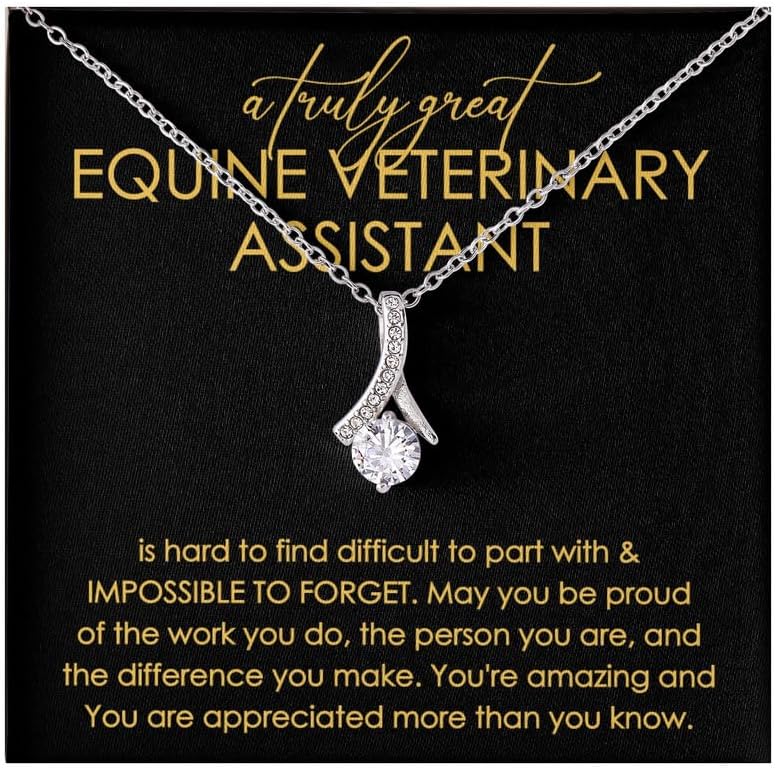 Equine Veterinary Assistant Necklace Message Card Box Alluring Standard - Hard To Find Difficult To - Veterinary Technologist Cat Dog Lovers