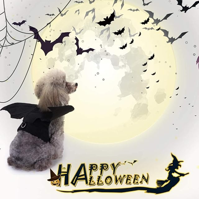 Foto 7 de 7 de Pet Bat Wings, Disfraz de Halloween, alas de murciélago, Disfraces para Mascotas, Perros medianos