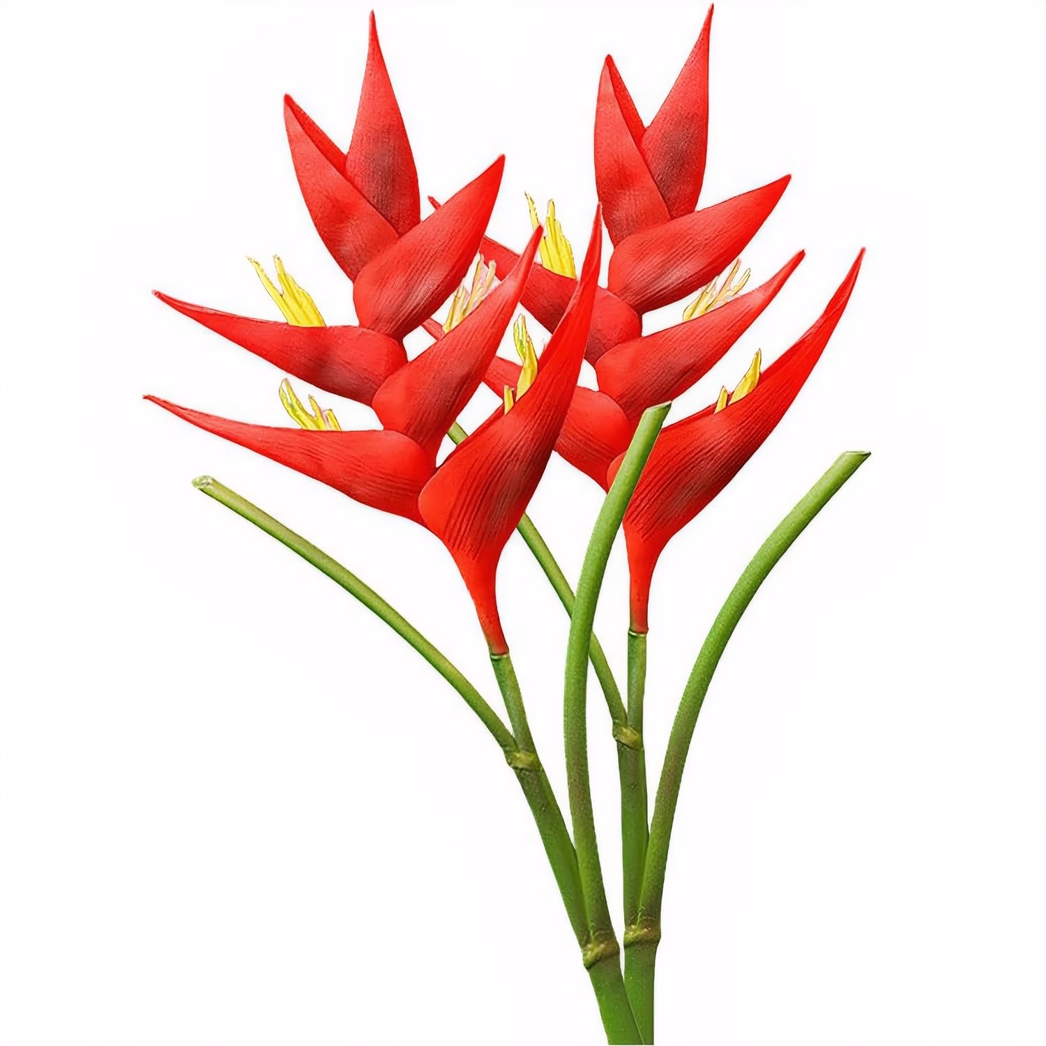 AtHomeYuyue 2pcs Artificial Heliconia 33.5" Long Stem Latex Faux Bird of Paradise Fake Tropical Flowers for Vase Bouquets Home Office Wedding Decor(Red)
