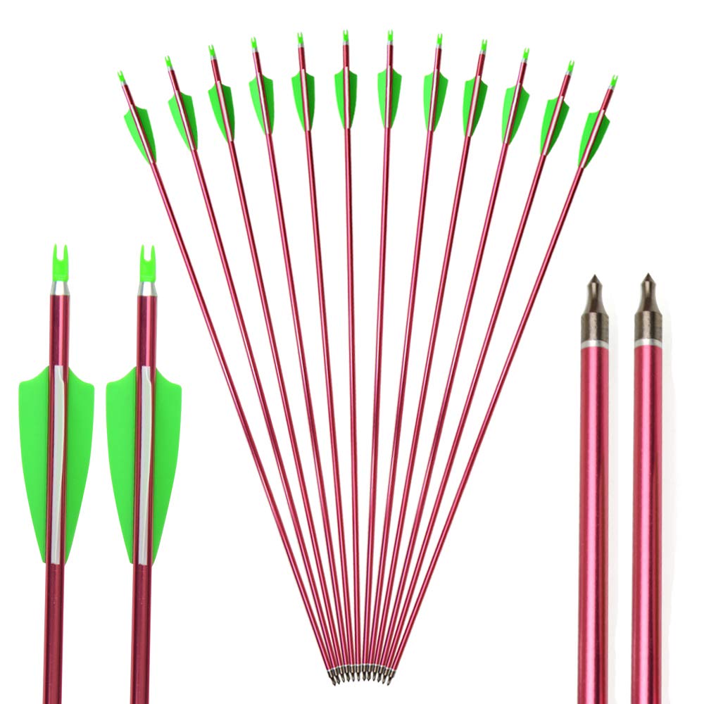 AMEYXGS Archery Aluminum Arrows 32 Inch Hunting Bow Arrows and Targeting Practice Arrows Spine 500 with Screw-in Arrowhead for Compound Bow and Recurve Bow(6pcs)