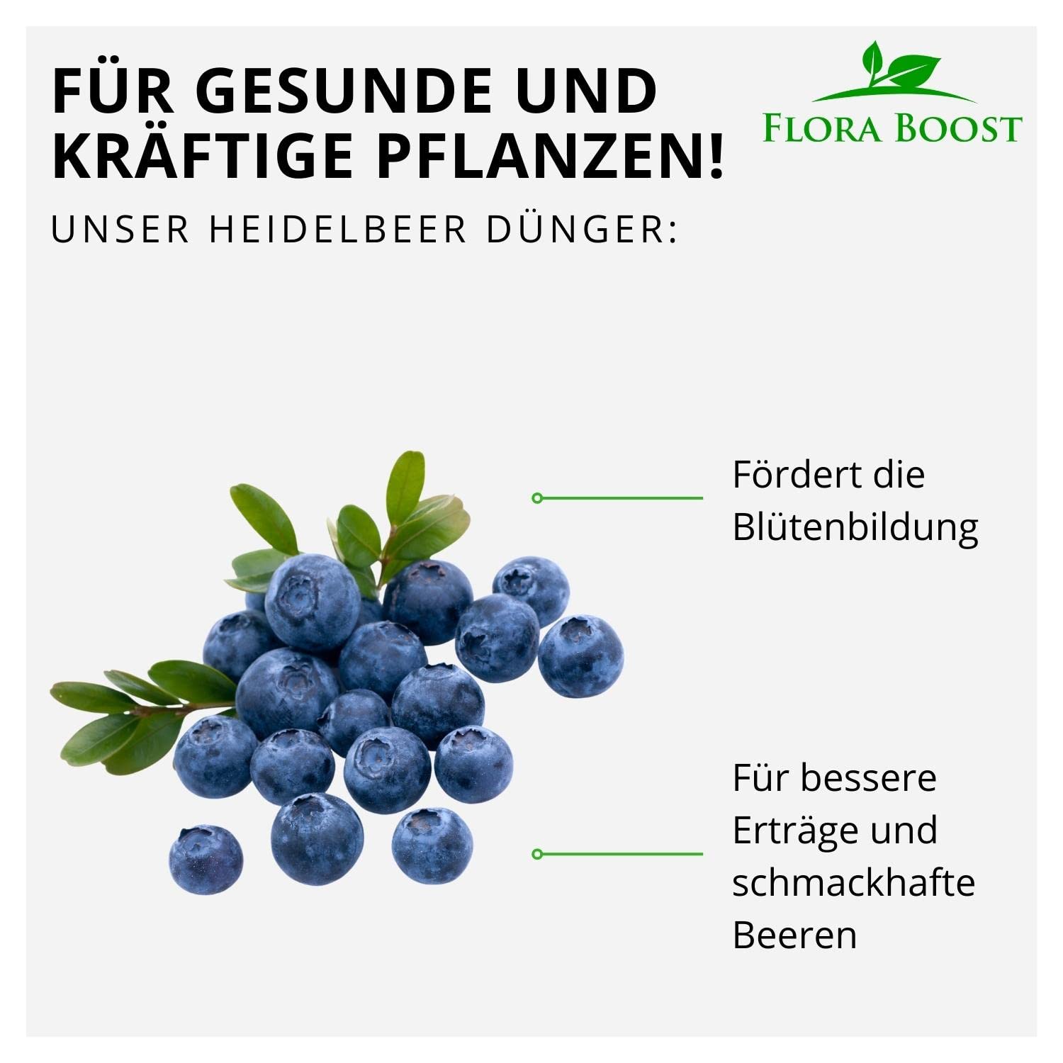 Organischer Dnger Fr Heidelbeeren Flora Boost Dnger Fr Blaubeeren (1  Liter)  Organisch, Schnellwirkend Heidelbeeren Dnger Testsieger