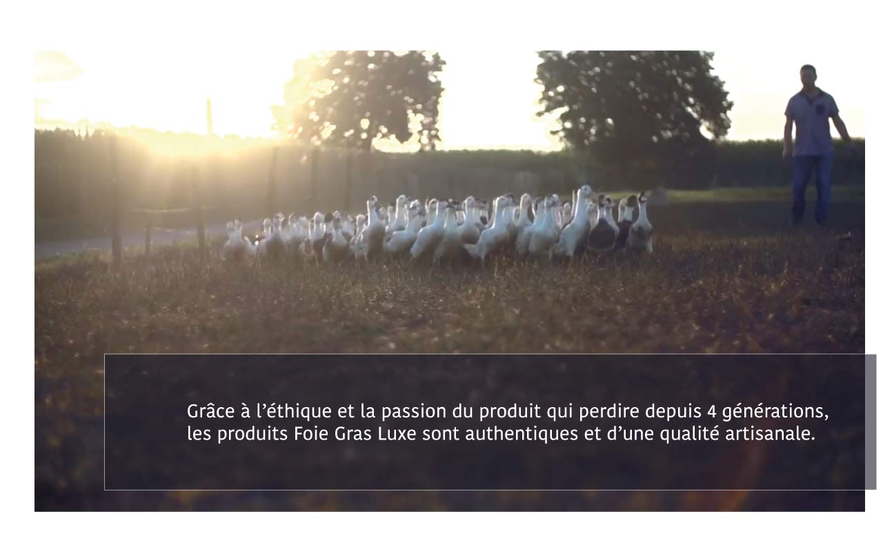 Foie Gras d’Oie Entier Artisanal 400 gr – 100% Ferme Française des Landes - Foie Gras Luxe – à toaster - Sans Additifs Sans Conservateurs Ni OGM