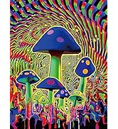 GemZono Diamond Painting Kits for Adults, Diamond Art Kits, 5D Full Drill DIY Crafts Home Wall De...