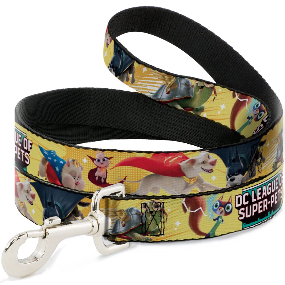 Laisse pour Chien DC Comics en sangle large de 3,8 cm pour un contrôle optimal