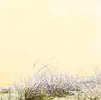 未開封】【レコード】ART-SCHOOL LOVE/HATE 完全限定プレス盤