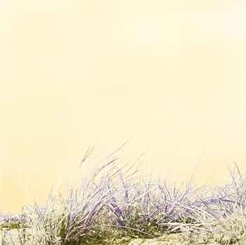 【未開封】【レコード】ART-SCHOOL LOVE/HATE 完全限定プレス盤 未開封】【レコード】ART-SCHOOL LOVE/HATE 完全限定プレス盤 未