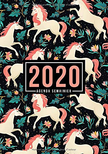Télécharger Agenda semainier 2020: Du 1er janvier 2020 au 31 décembre 2020 : aperçu hebdomadaire et mensuel, j Livre eBook France