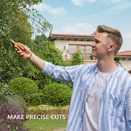 Best Bud Trimming Scissors The Highest Crop