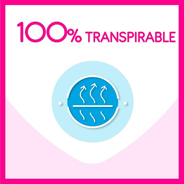 Carefree Cotton Feel Normal Fragancia Fresca Protegeslips (40 + 4 unidades), protegeslips absorbentes y transpirables sin fragancia, protege slips para todo tipo de braguitas - 2