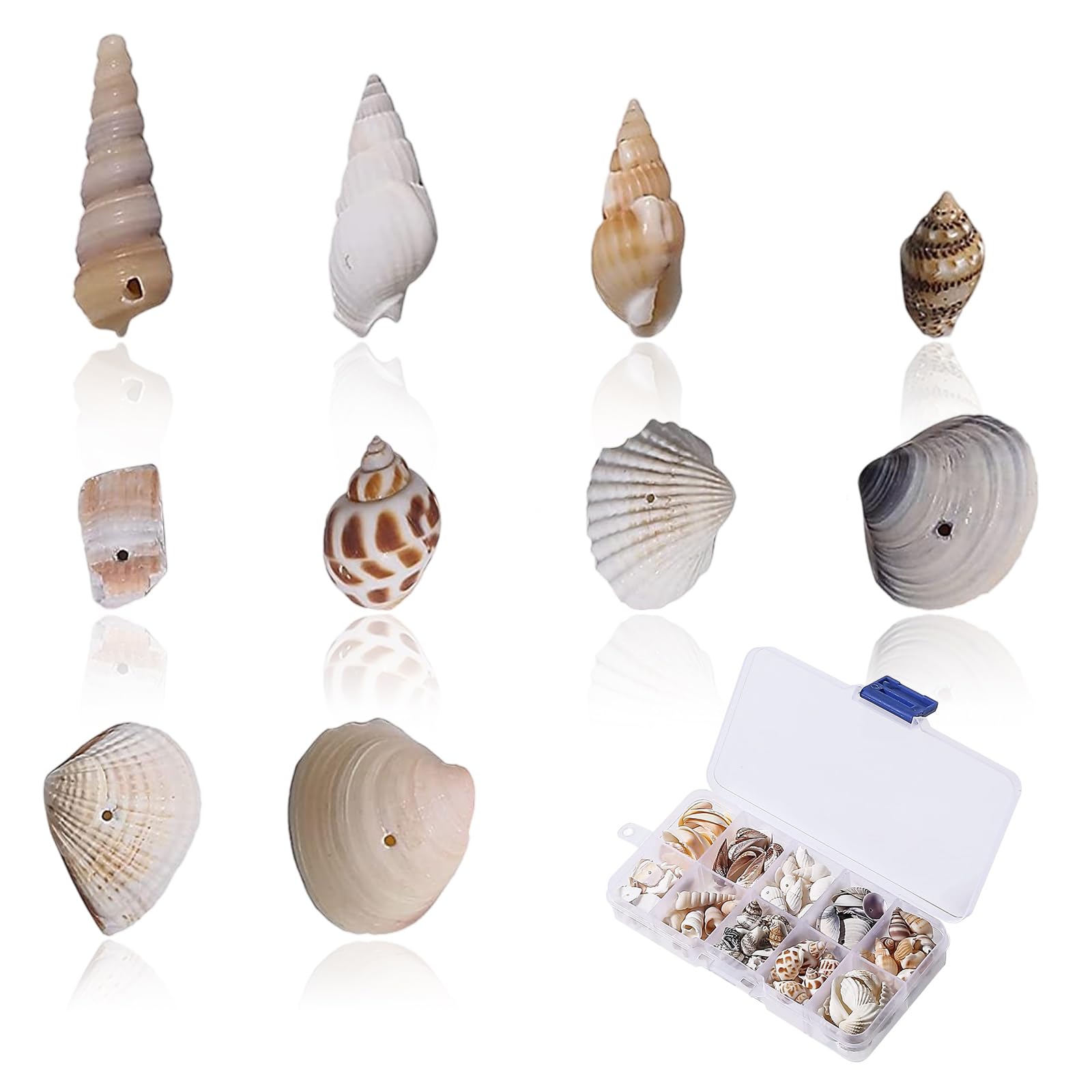 150-200 sztuk mieszane muszle, muszle plażowe, muszle morskie, mieszane muszle oceaniczne, plażowe, dekoracja weselna, akwarium, wypełniacz wazonu