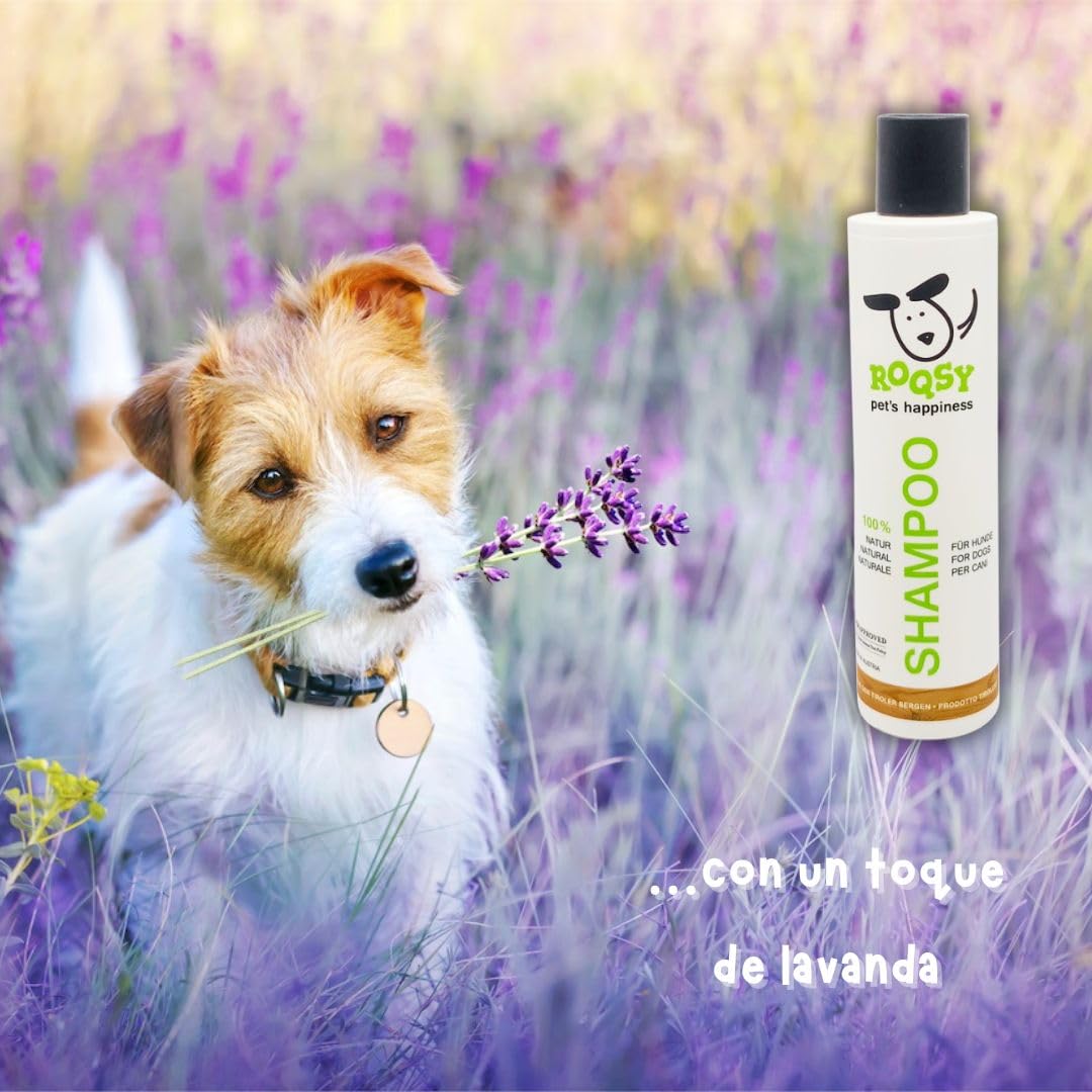 Champú Natural para Perros – Vegano, pH Neutro, Sin Parabenos, para Todo Tipo de Pelaje y Piel Sensible – 1500ml Europea