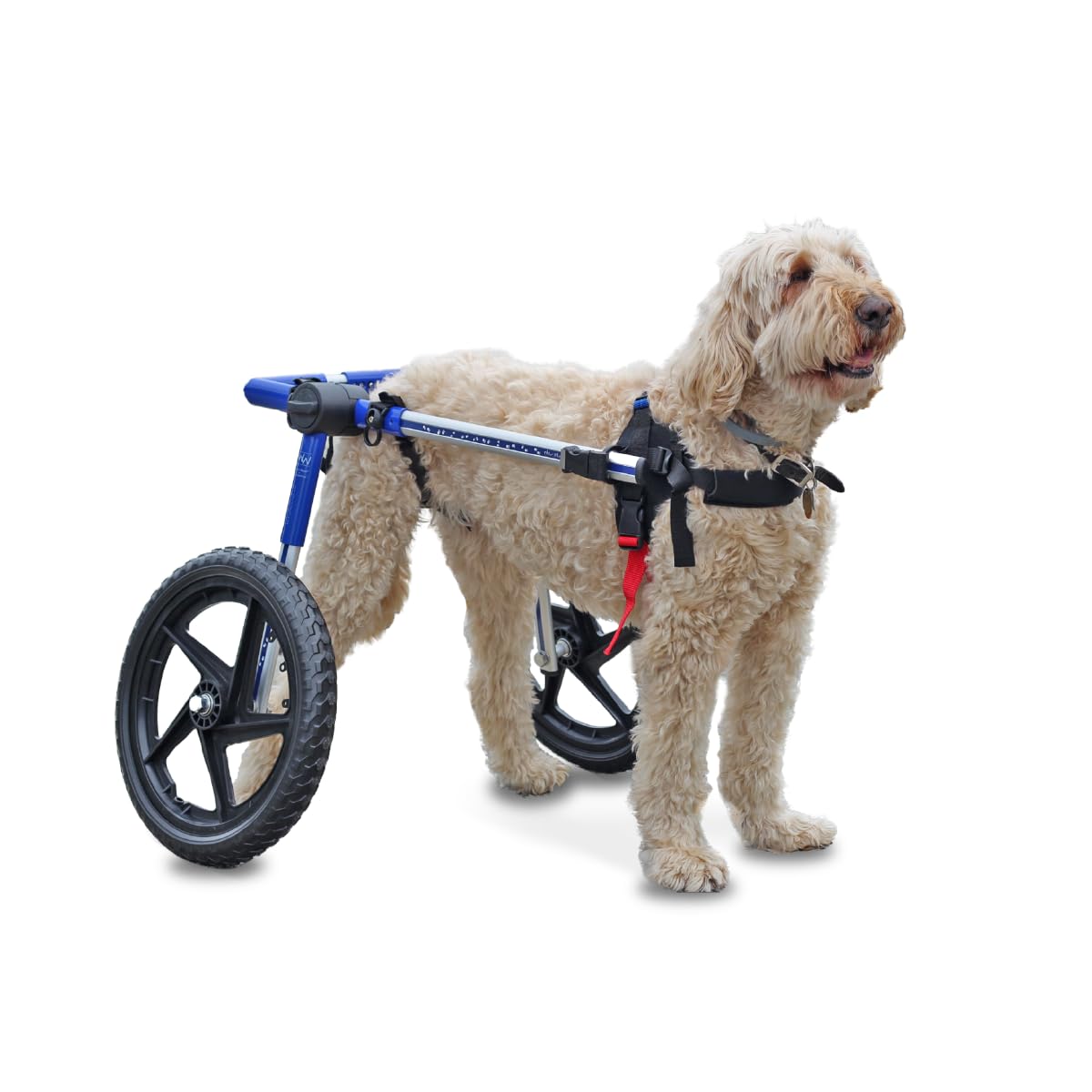 Walkin' Wheels Med Large Dog Wheelchair Blue