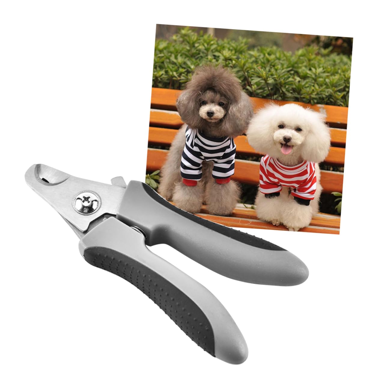 Sosoport 2pezzi per Unghie per Domestici Cesoie per Inossidabile Design Colore Casuale per Toelettatura e