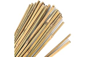 Pllieay 20PC 1.33'/16 Inch Natural Plant Stakes Garden Bamboo Sticks for Gardens