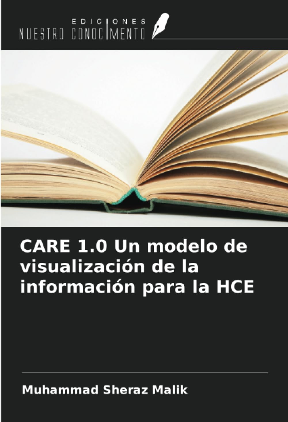 CARE 1.0 Un modelo de visualización de la información para la HCE