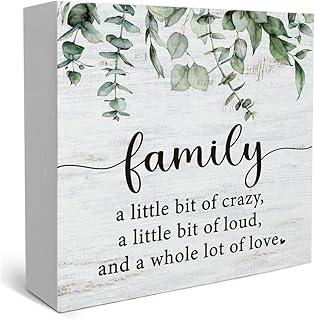 Funny Family a Little Bit of Crazy Wood Box Sign, Inspirational Quotes Rustic Farmhouse Wooden Sign Family Inspirational Wall Art Sign for Home Living Room Desk Shelf Table Decor