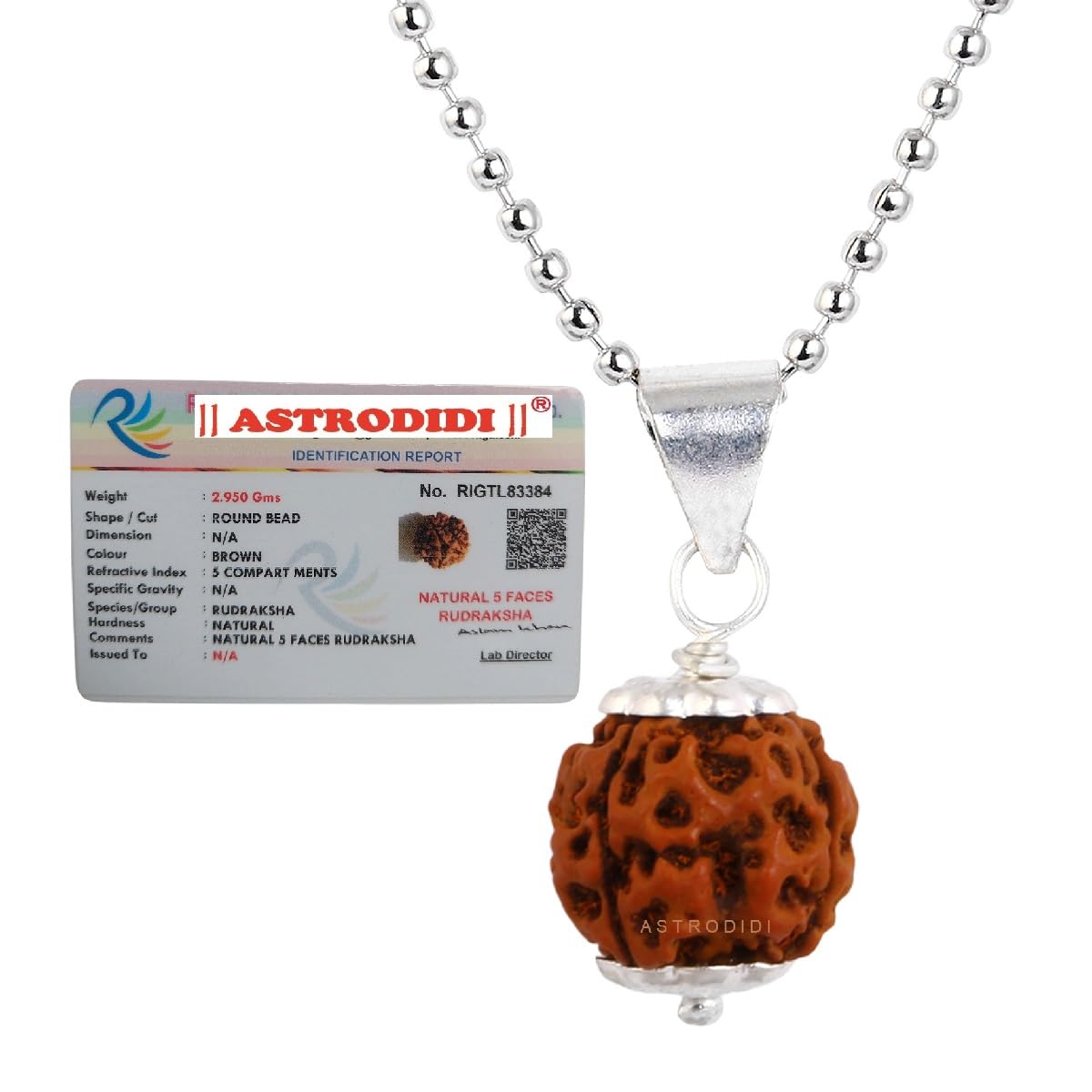 Nepali 5 Mukhi Rudraksha Pendant with Lab Report/Certified Natural Five Face Rudraksh with White Metal Capping and Chain for Men and Women (Colo: Brown, Shape: Round)-image-32