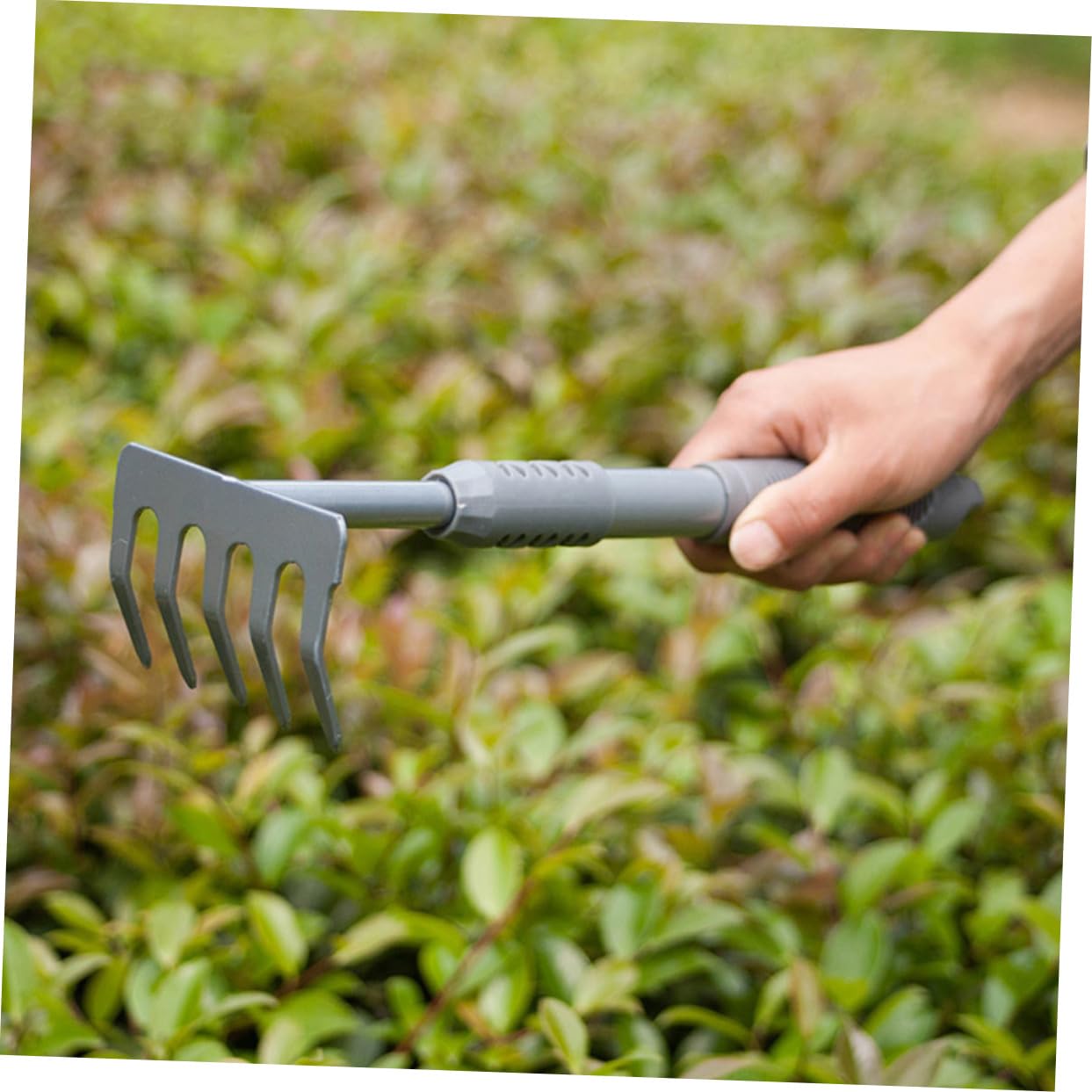 Abaodam Set Outils de Jardinage pour Jardinage Interieur, Pelle de Jardin Argentée 3 Pièces en Acier et PVC, pour Plantation et Désherbage