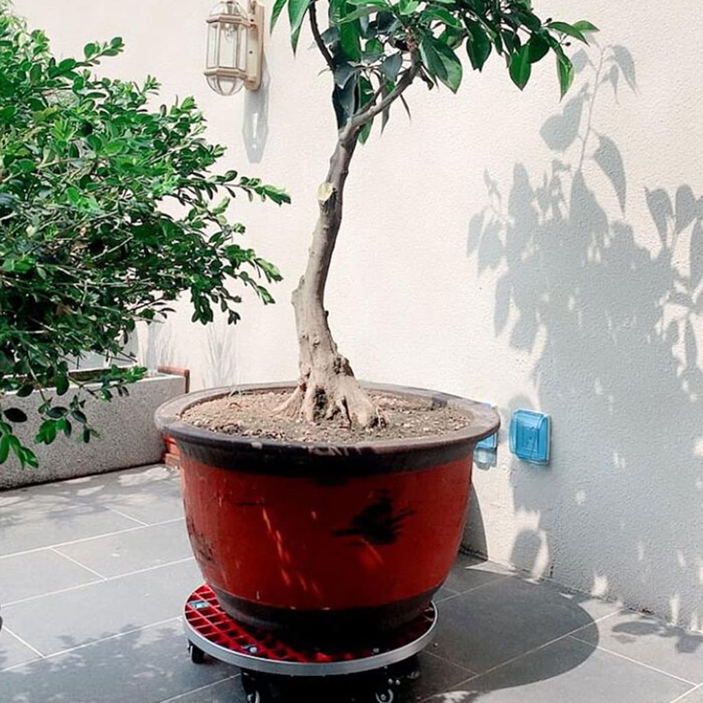 Carrello per piante resistente con ruote, 25,4 cm, per vasi grandi, vassoio circolare mobile per fioriere da giardino