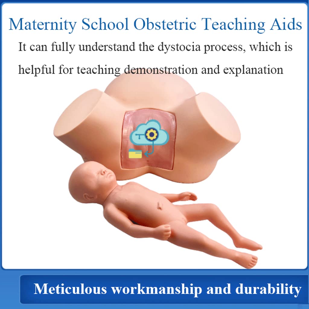 PLbsE Demonstration Female Childbirth Manikin Advanced Midwifery Training Model Standard Childbirth Simulator for Medical Teaching