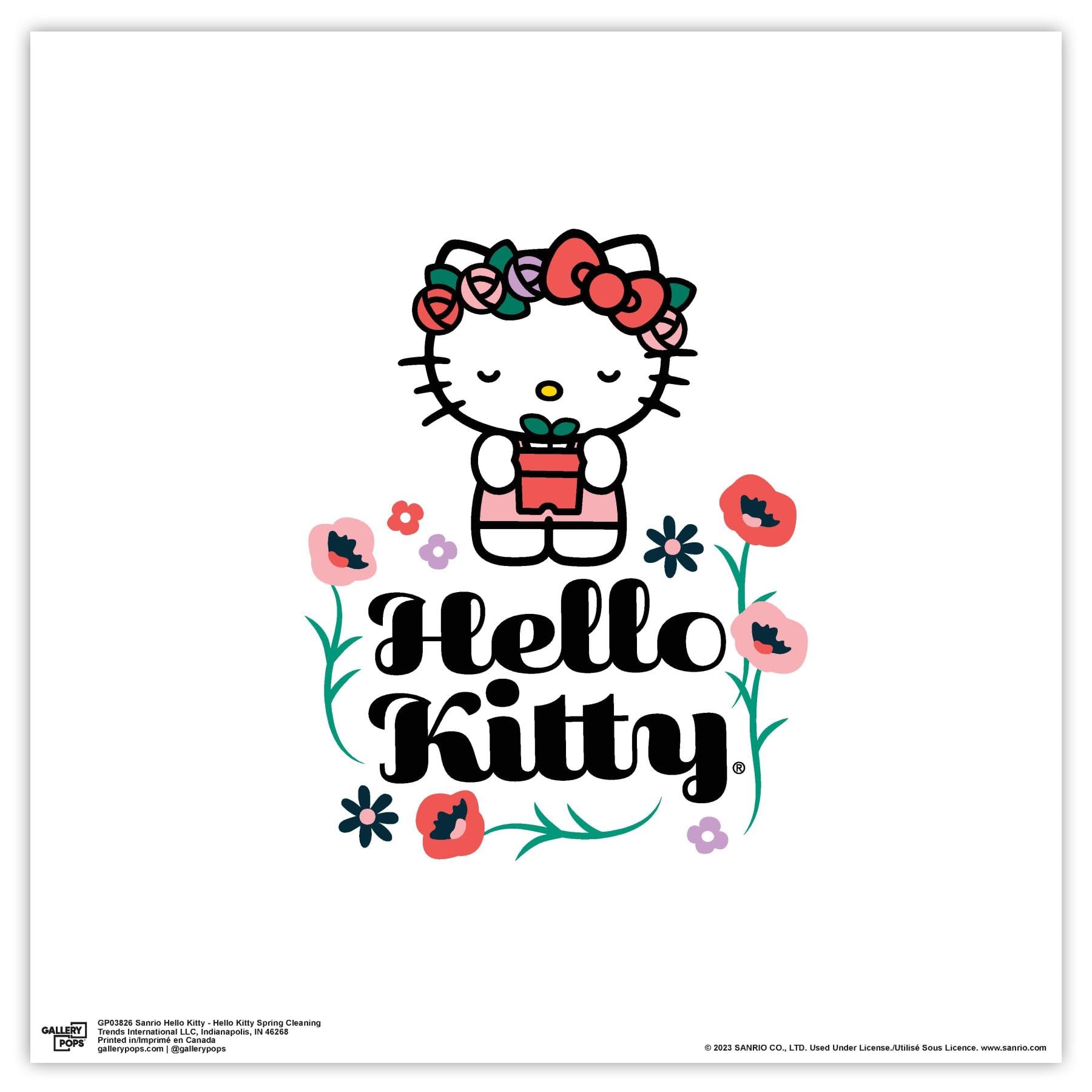 Amazon.co.jp: Trends International Gallery Pops サンリオ