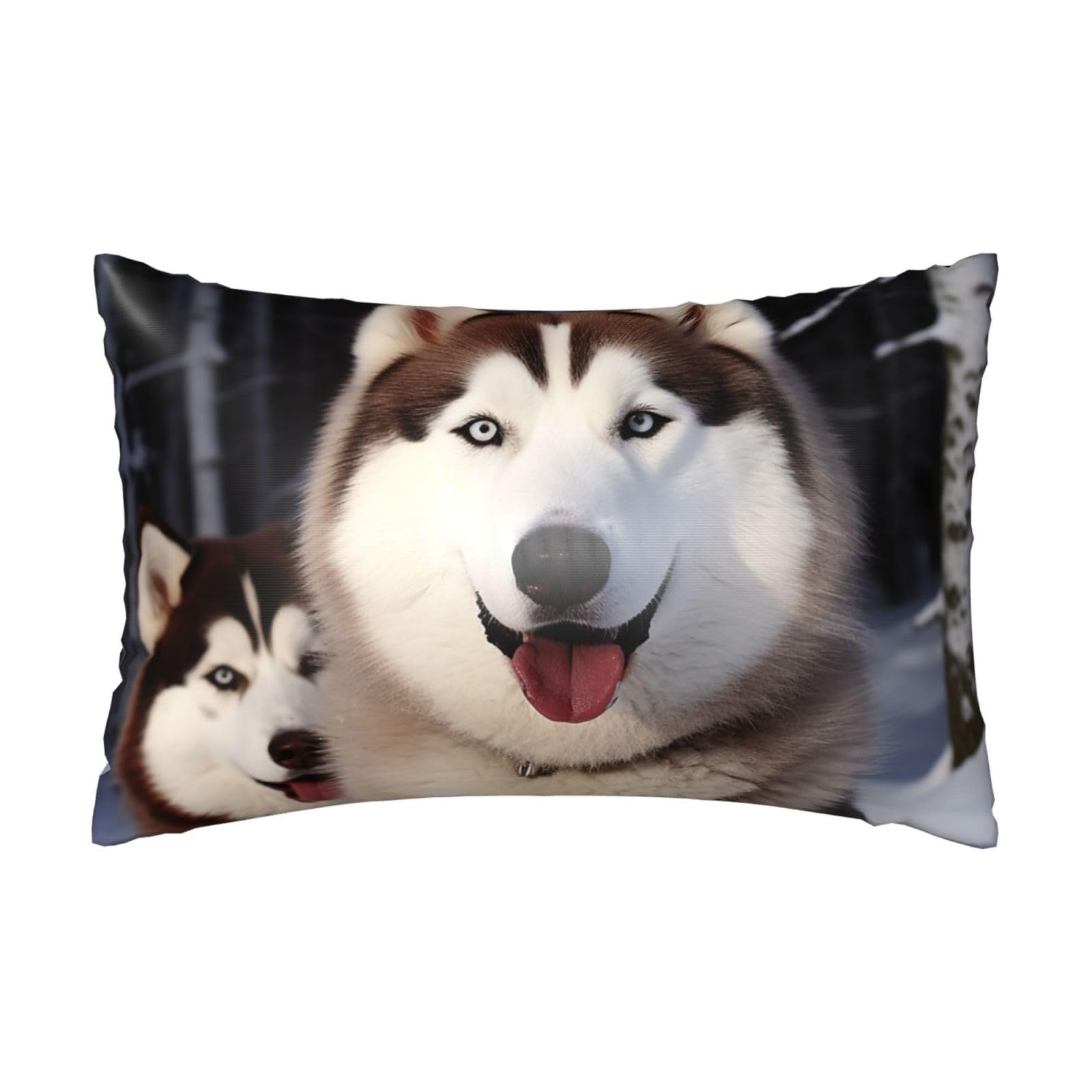Satin Pillowcase for Hair and Skin, Huskies Pillow Case Queen Size 20x30 Inches, Cooling Silky Pillowcases with Zipper Ultra Smooth and Soft Pillow Cover for Sleeping