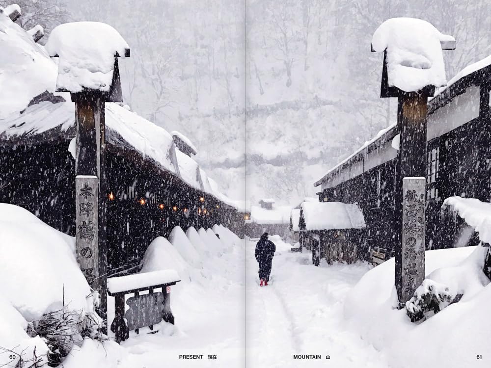 Towards a Nude Architecture: A Visual Compendium of Japanese Hot Springs