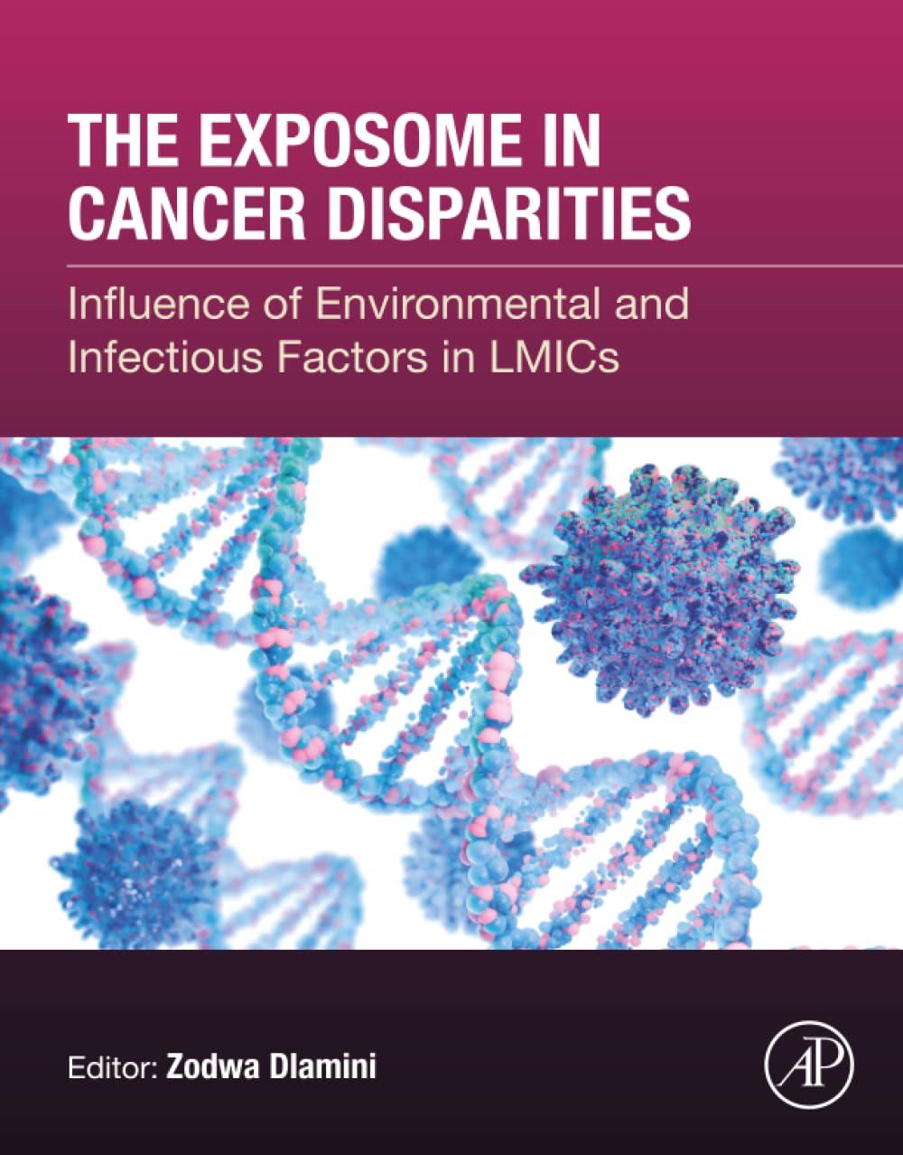 The Exposome in Cancer Disparities: Influence of Environmental and Infectious Factors in LMICs