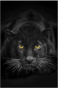 絵画　油彩画　額縁　キャンバスボード 動物　黒豹　原画 絵画 油彩画 額縁 ボード 動物 豹 Amazon｜黒いヒョウの額縁の