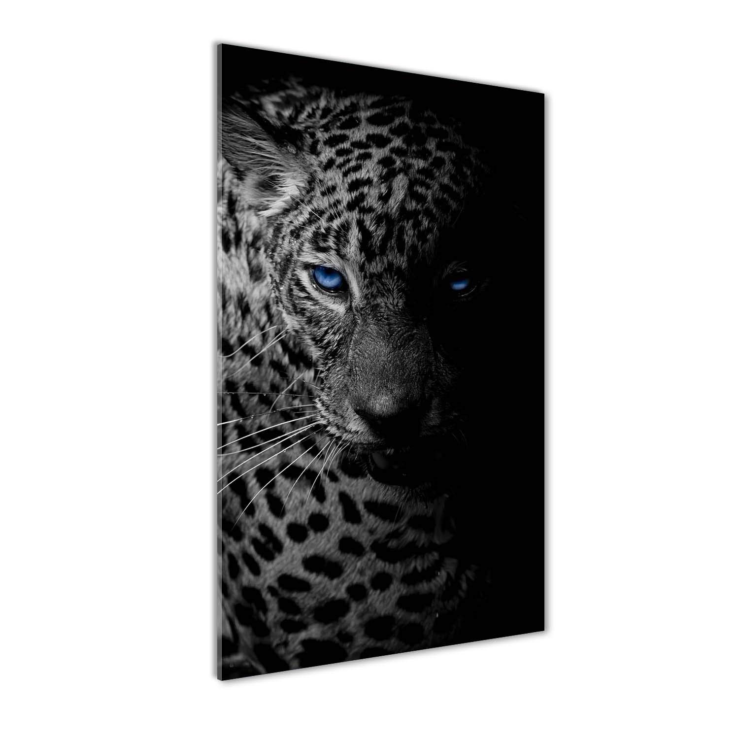 Déco mural derrière le plastique acrylique de léopard noir 50x100 Tulup
