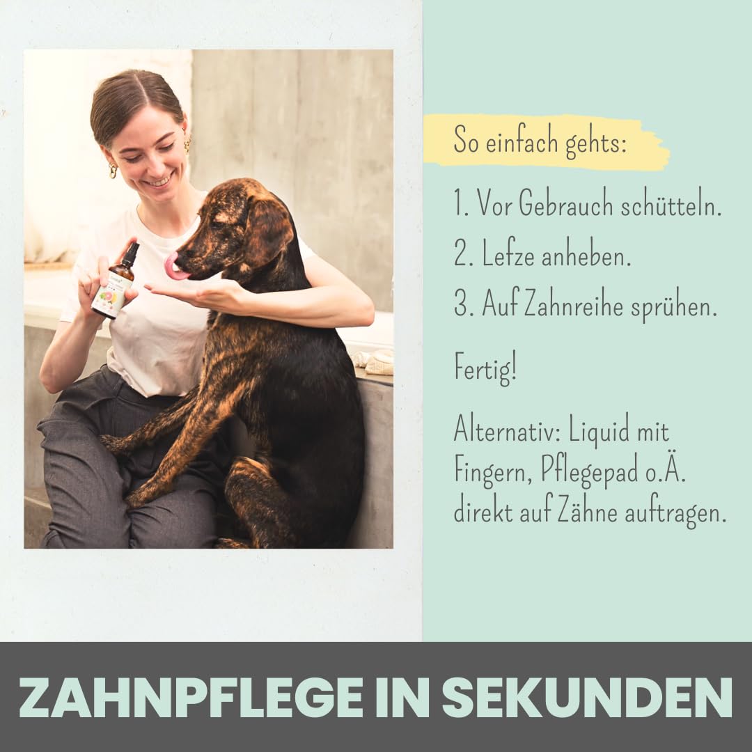 noms+ Dental-Spray für Hunde & Katzen [Jahresvorrat] Spray entfernt Zahnbelag 100% natürlich, gegen Zahnstein, Mundgeruch, Plaque zur Zahnreinigung & Zahnsteinentfernung - frischer Atem