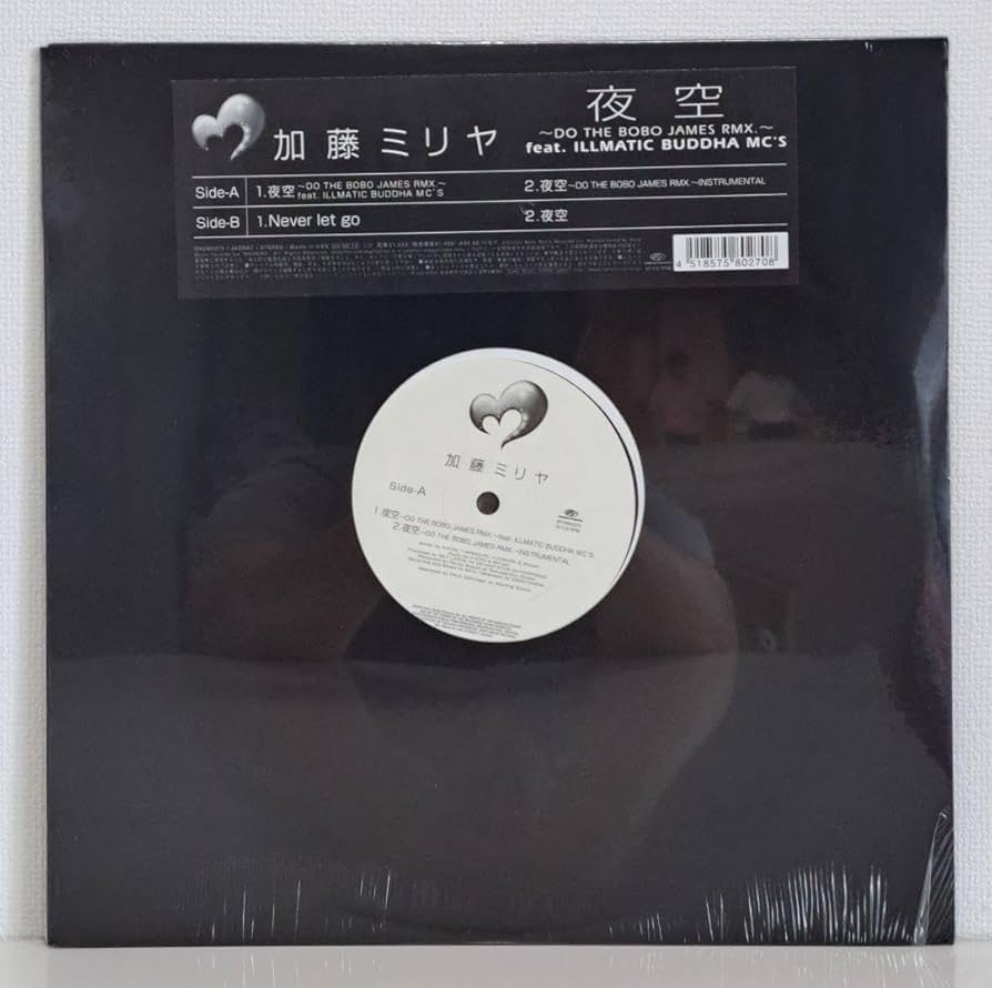 12インチ 和モノ系 レコード