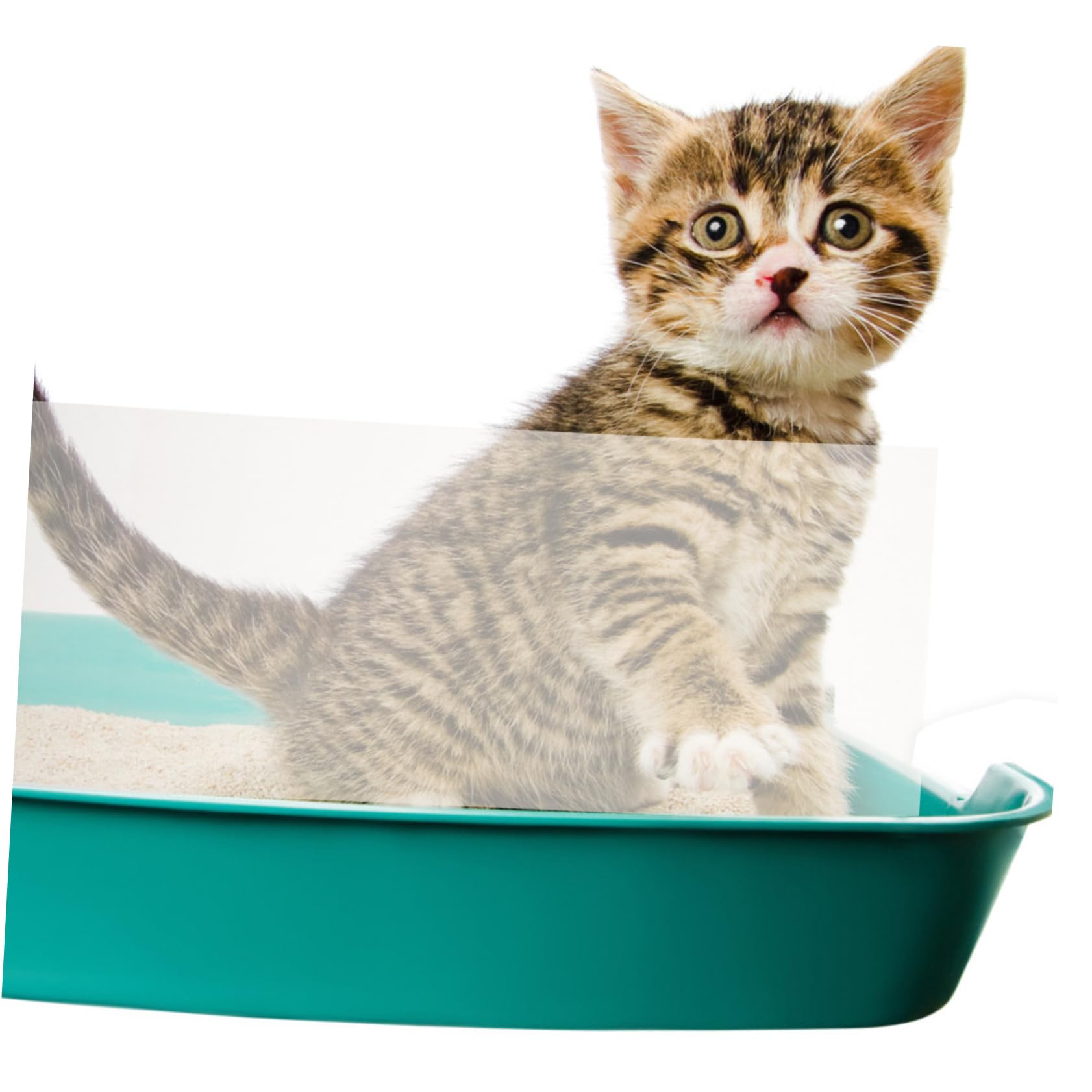 Amazon.co.jp: Frcolor 3個入り ボックス 消せるアクリル板 ゴミ箱