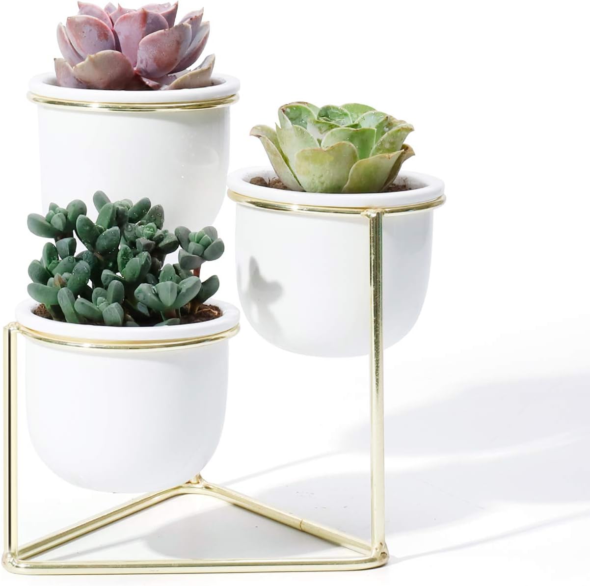 3 Piece Ceramic Succulent Planter Pots - 3 Inch Modern Century Indoor Cactus Container with Golden Metallic Stand - Suspended Base Legs and Watering Drain Holes