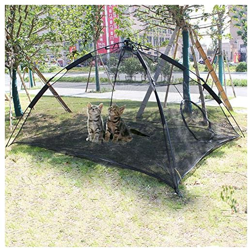 Portable Pop Up Cat Tent for Outdoors