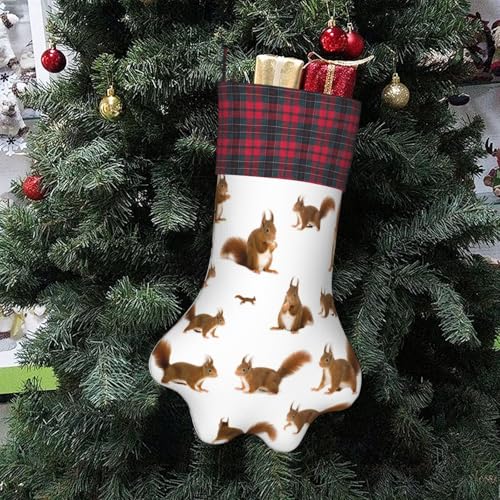 OKFSTY Niedlicher Eichhörnchen-Weihnachtsstrumpf mit Pfotenabdrücken, niedliches Haustier-Hängestrümpfe, Weihnachtsdekoration, Geschenk für Familie