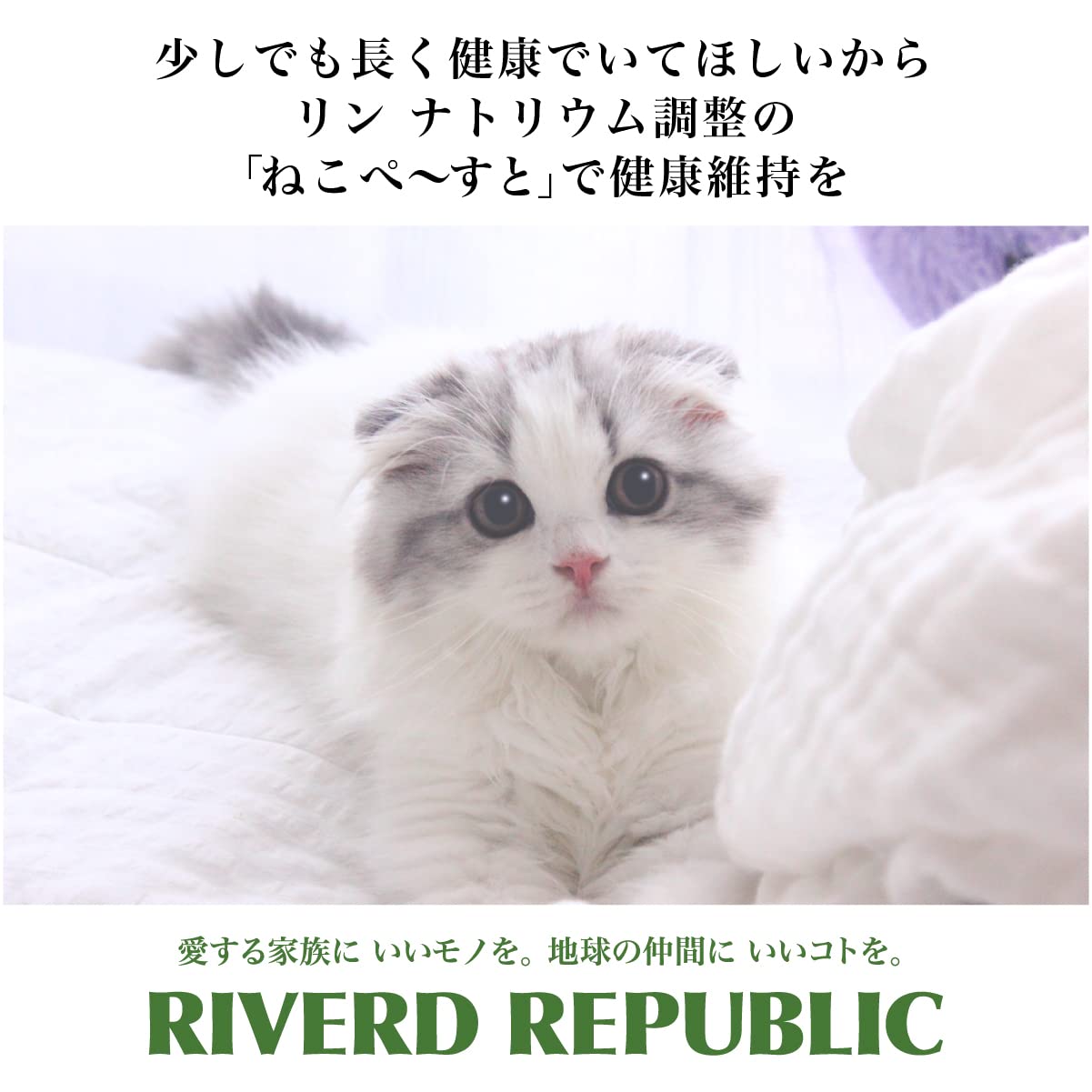 Amazon | 日本産 猫用一般食 ねこぺ～すと 無添加ピュアseries