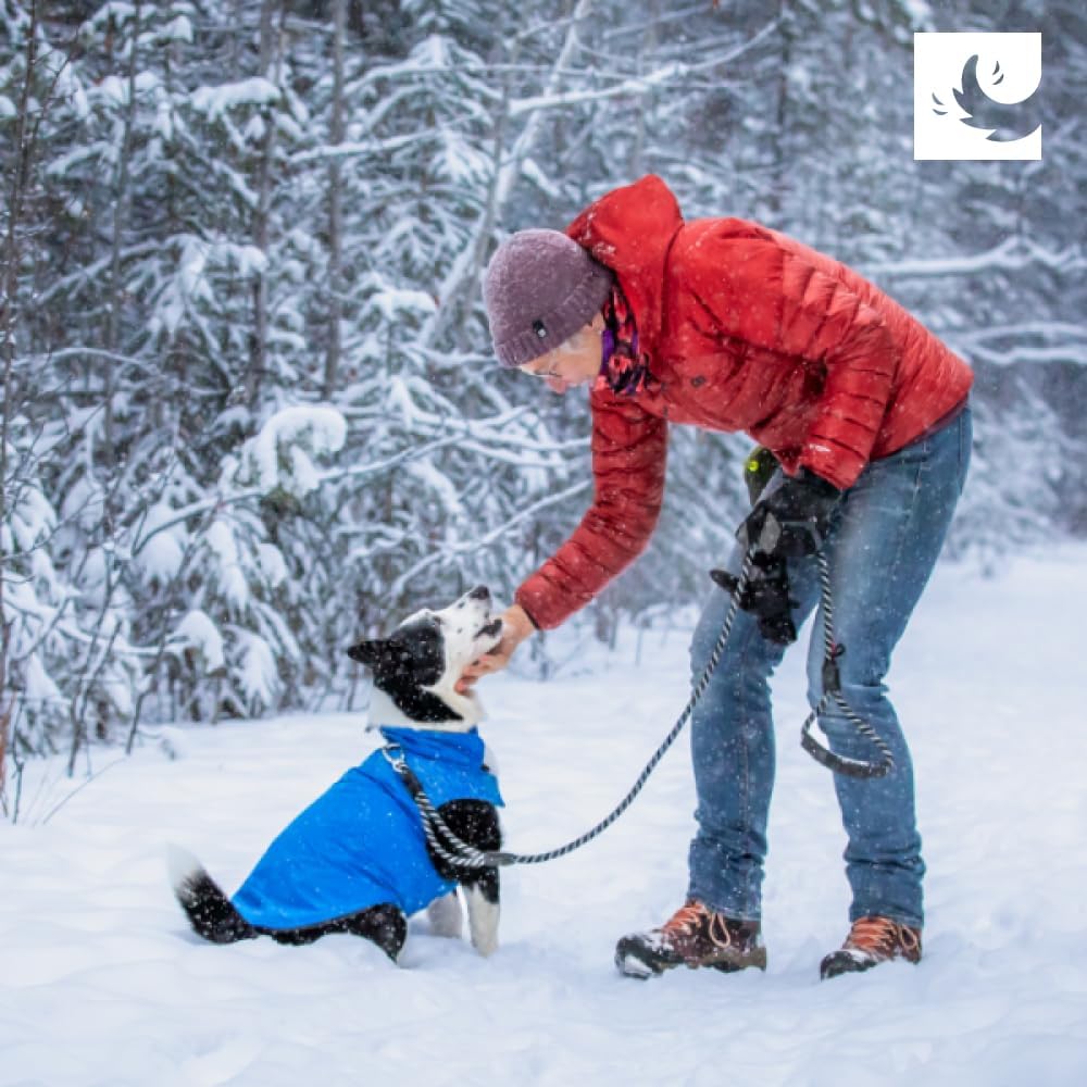 RC Pet Products Cascade Dog Coat, Essential All Weather Dog Jacket, Size 24, Arctic Blue