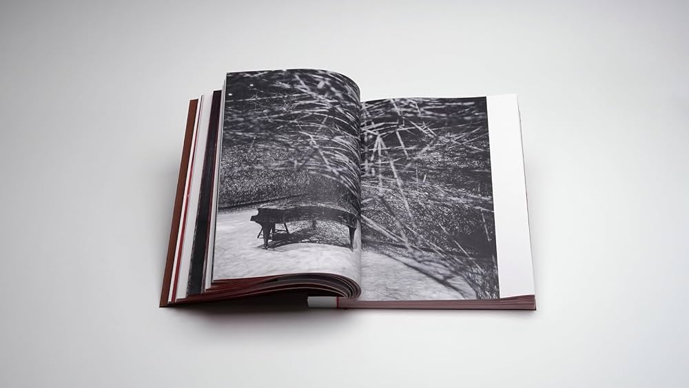 Chiharu Shiota: The Unsettled Soul: Waite, Jason, Goossen, Ivana