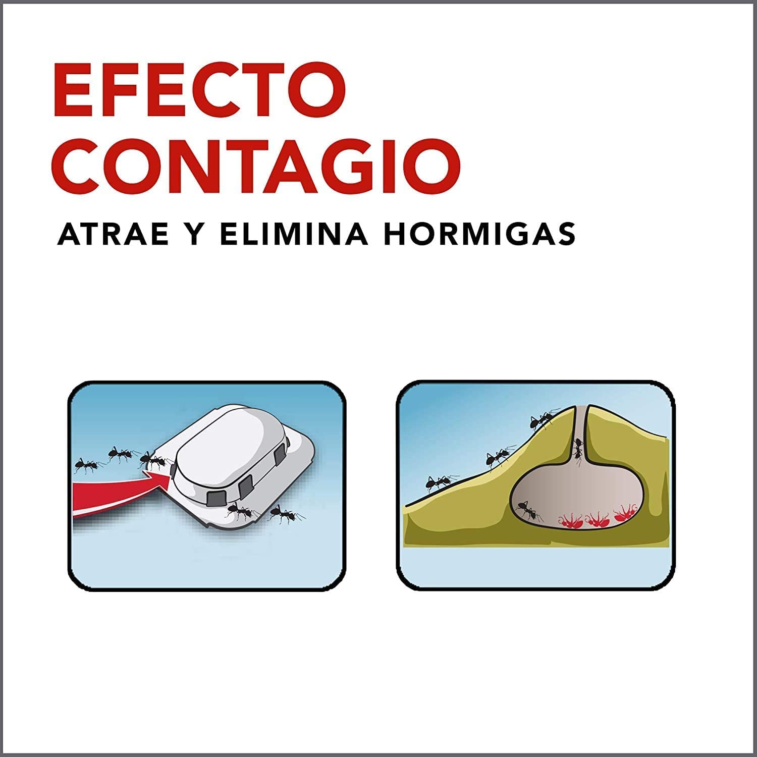 Raid Cebos - Trampa antihormigas, Elimina la Colonia de Hormigas Entera, Efectivo en Interiores y Exteriores, 1 Unidad (Paquete de 1)